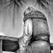 Kingdom Chapter 647